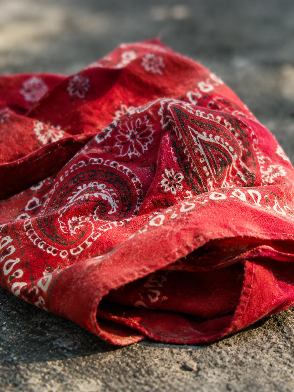He Had Already Reached a Safe Floor, and He Turned Round and Went Back Up: Twenty-Five Years On, the Man in the Red Bandana Received the Medal of Freedom — episode cover art
